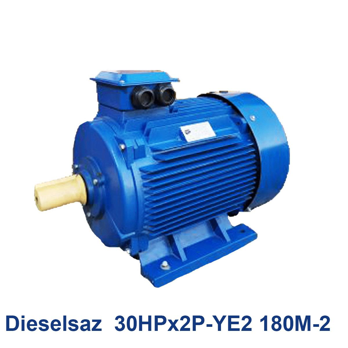 Dieselsaz--30HPx2P-YE2-180M-2