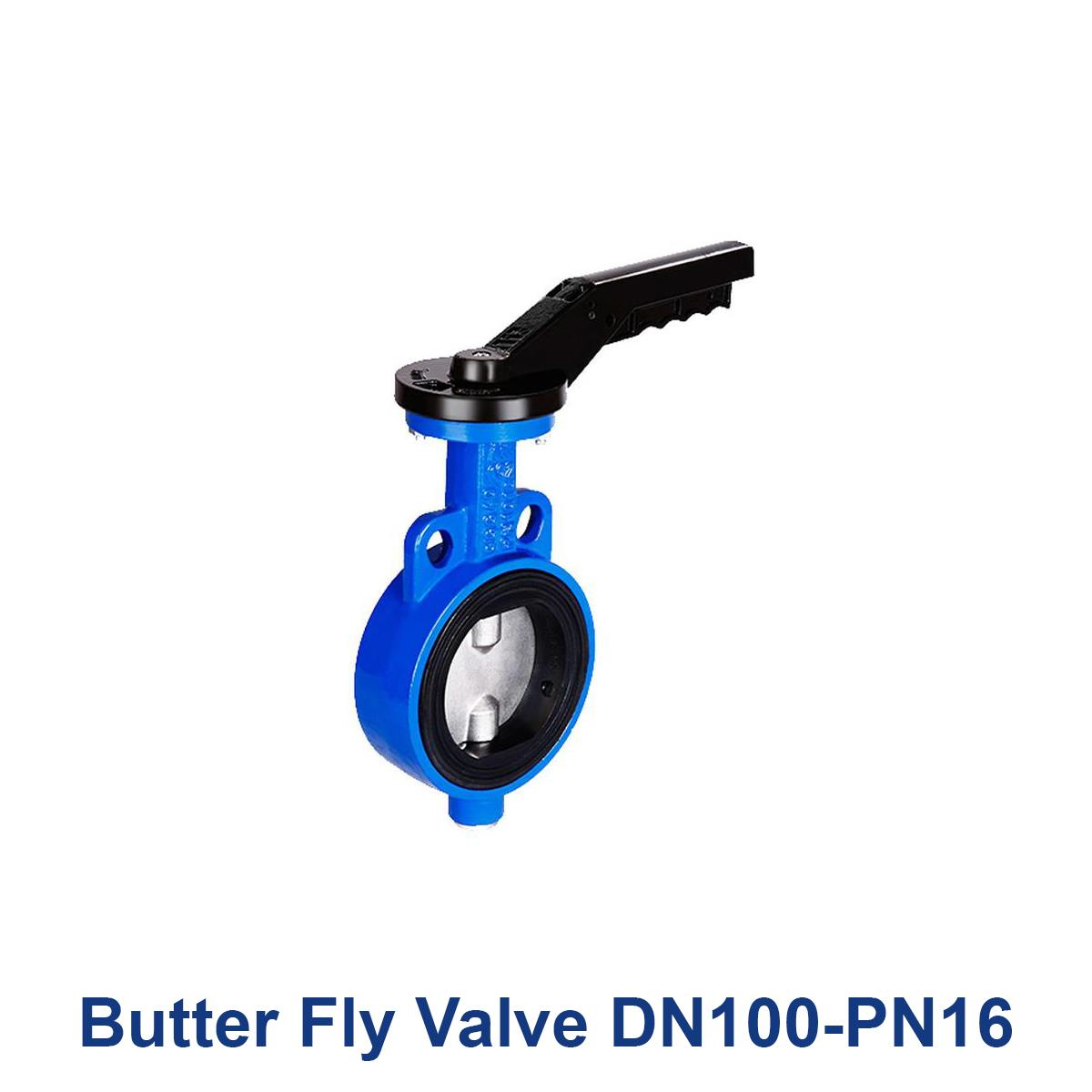 Butter-Fly-Valve-DN100-PN16