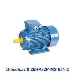 الکتروموتور سه فاز دیزل ساز Dieselsaz 0.25HPx2P-MS 631-2