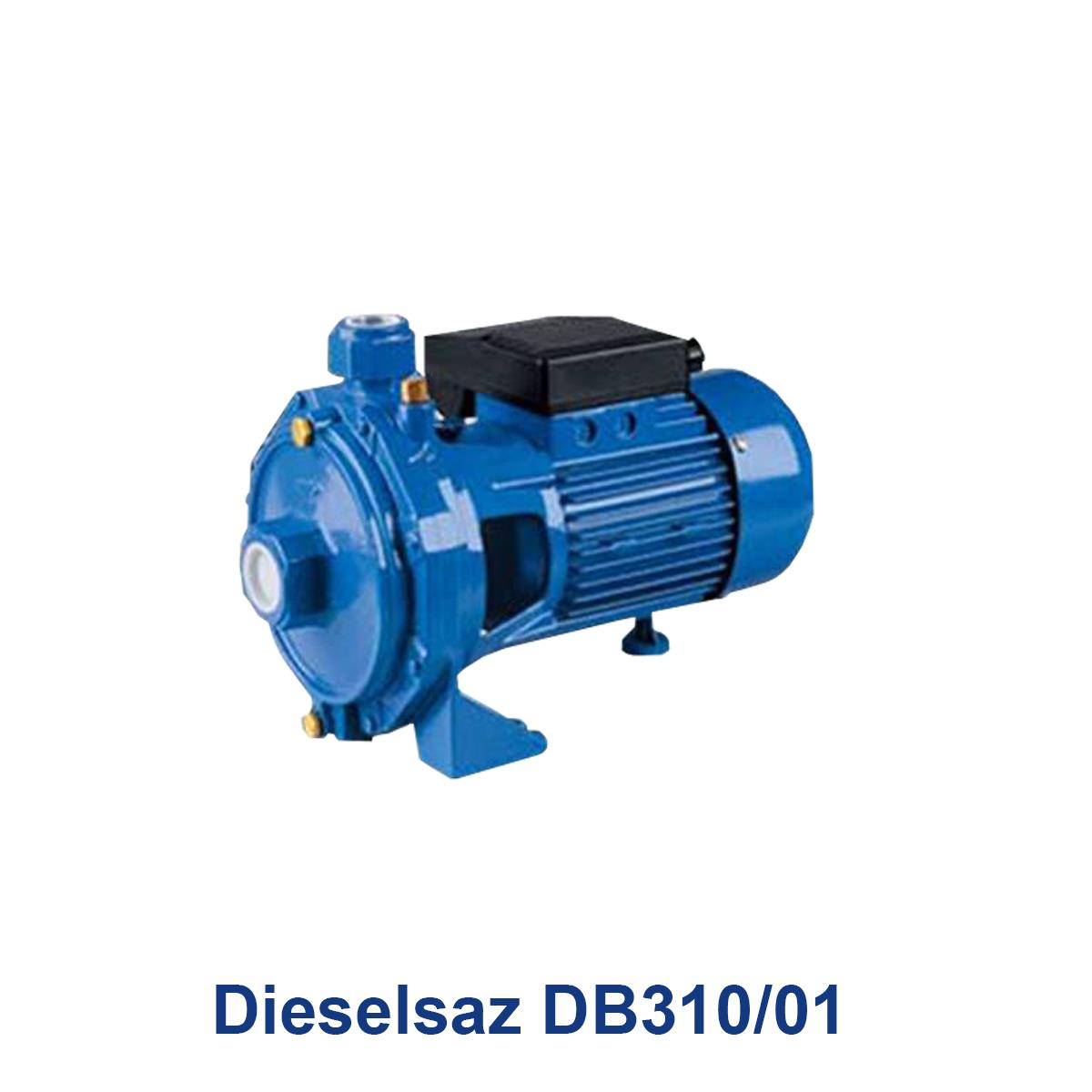 Dieselsaz-DB310-01