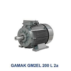 الکتروموتور سه فاز گاماک مدل GAMAK GM2EL 200 L 2a