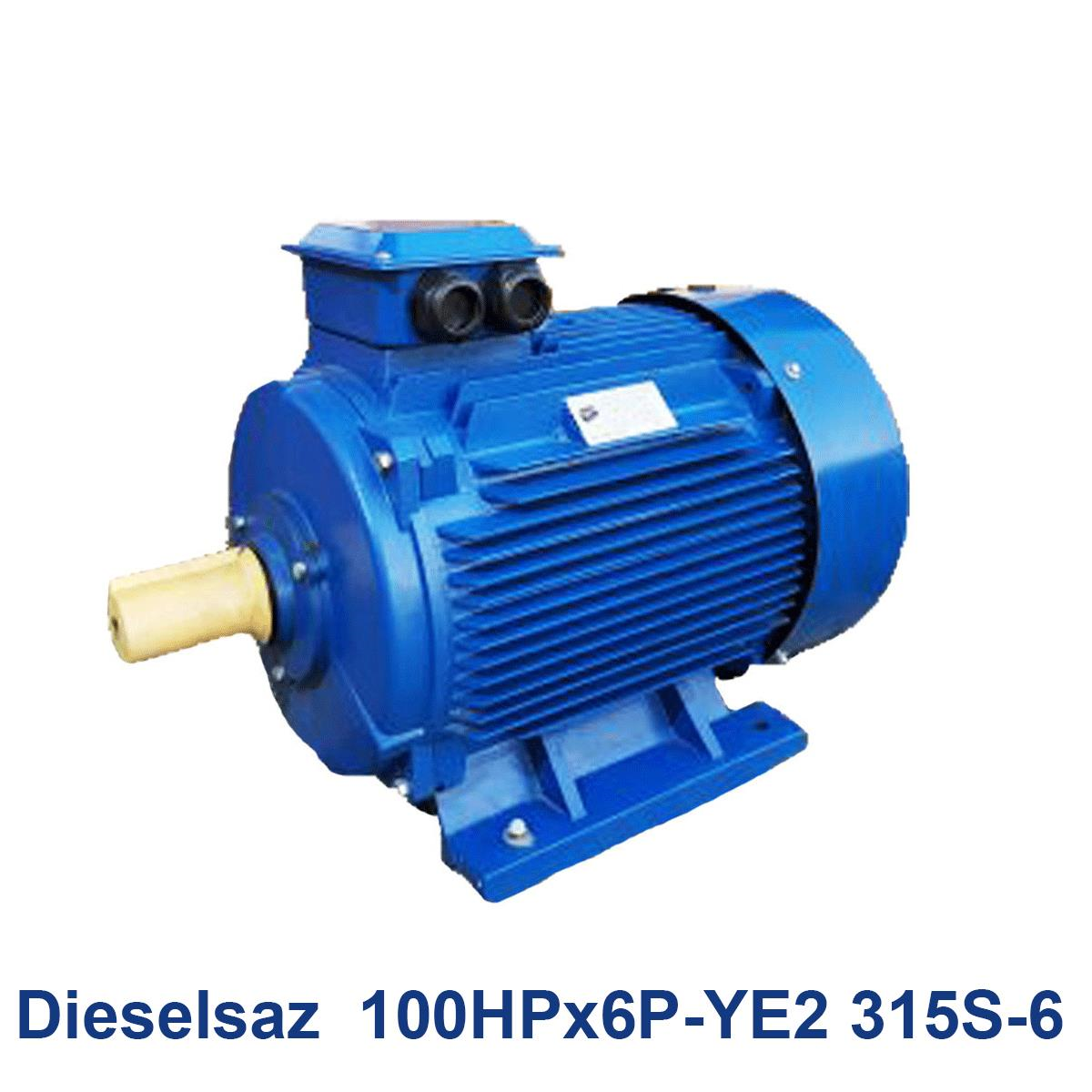 Dieselsaz--100HPx6P-YE2-315S-6