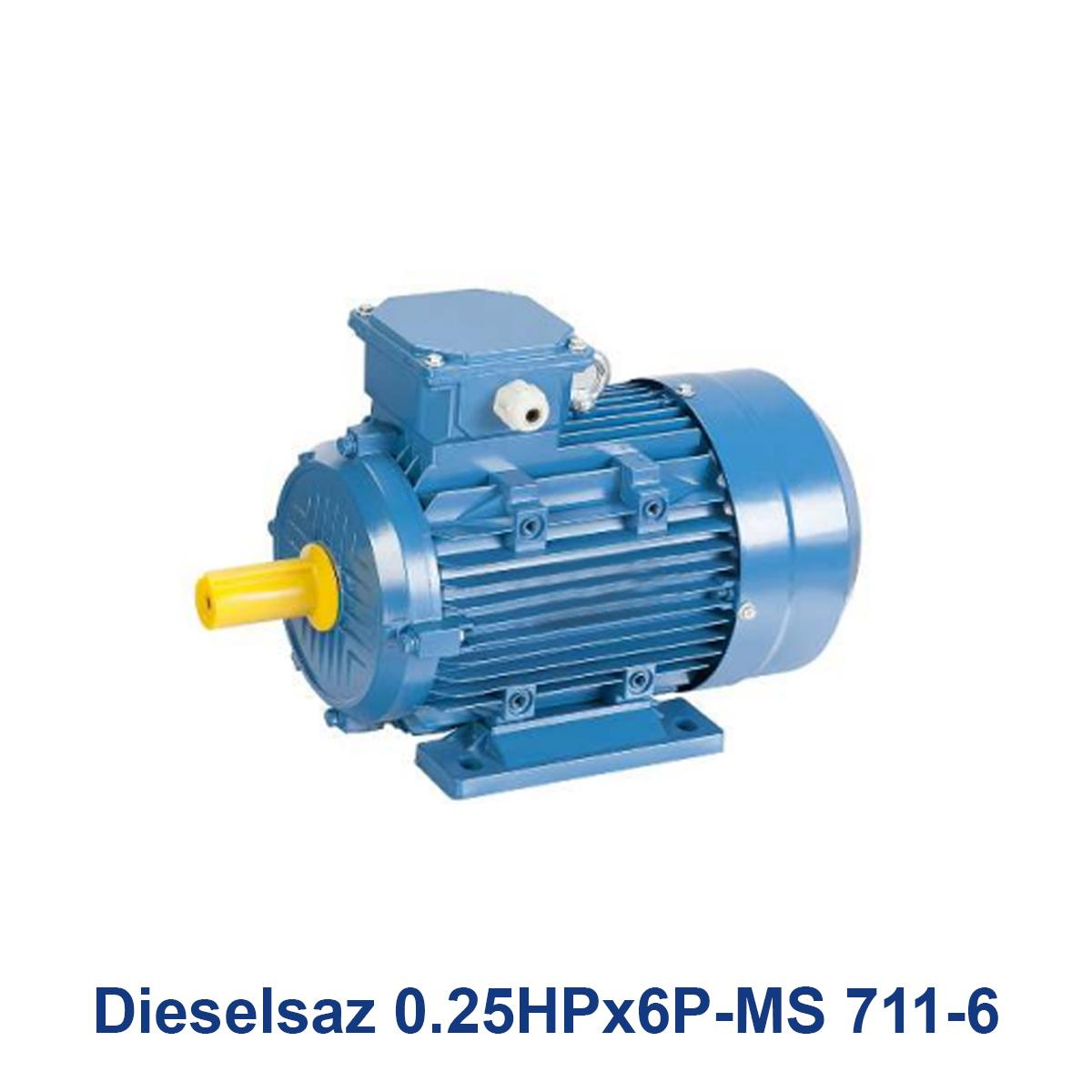 Dieselsaz-0.25HPx6P-MS-711-6