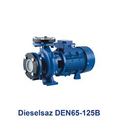 الکتروپمپ مونوبلاک دیزل ساز مدل Dieselsaz DEN65-125B