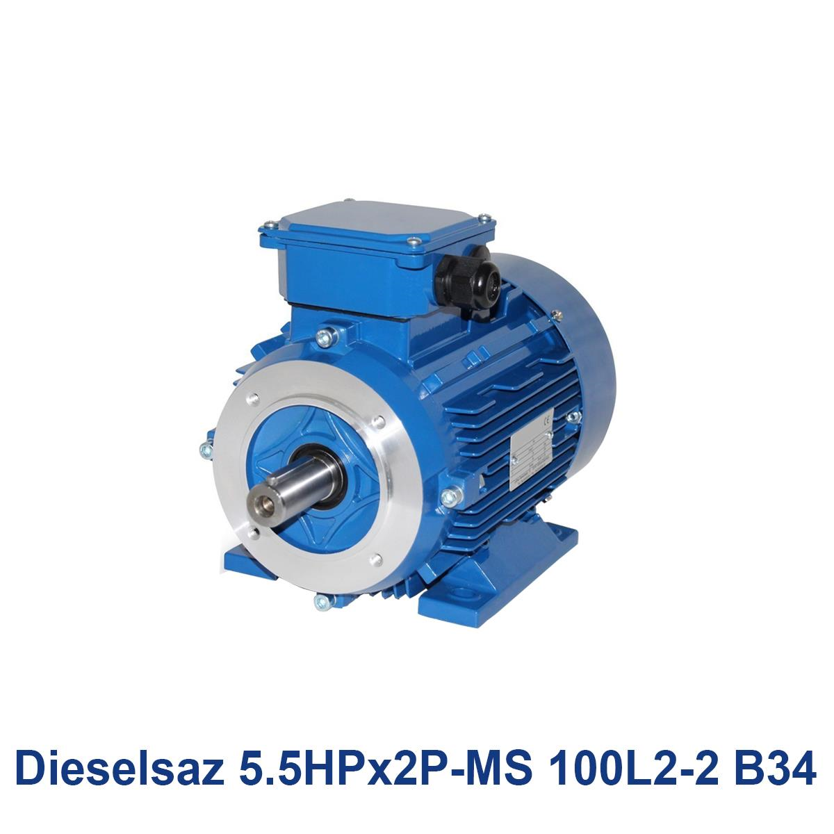 Dieselsaz-5.5HPx2P-MS-100L2-2-B34