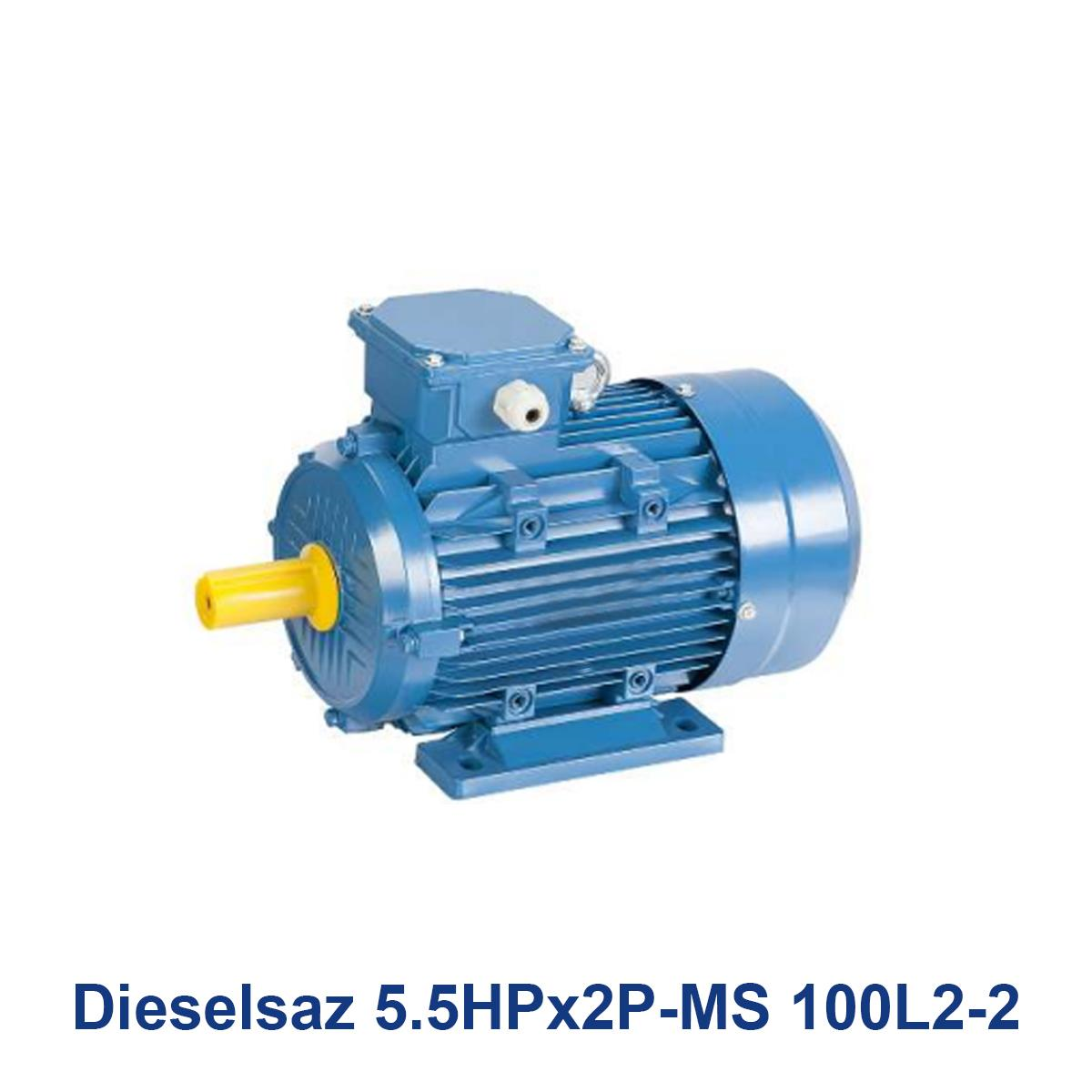 Dieselsaz-5.5HPx2P-MS-100L2-2