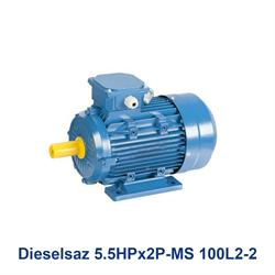 الکتروموتور سه فاز دیزل ساز Dieselsaz 5.5HPx2P-MS 100L2-2