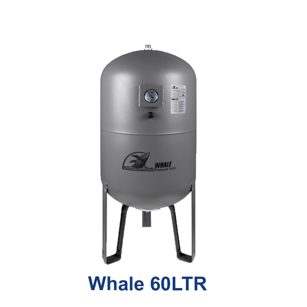 Whale-60LTR