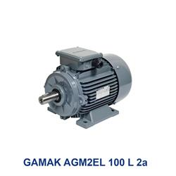 الکتروموتور سه فاز گاماک مدل GAMAK AGM2EL 100 L 2a