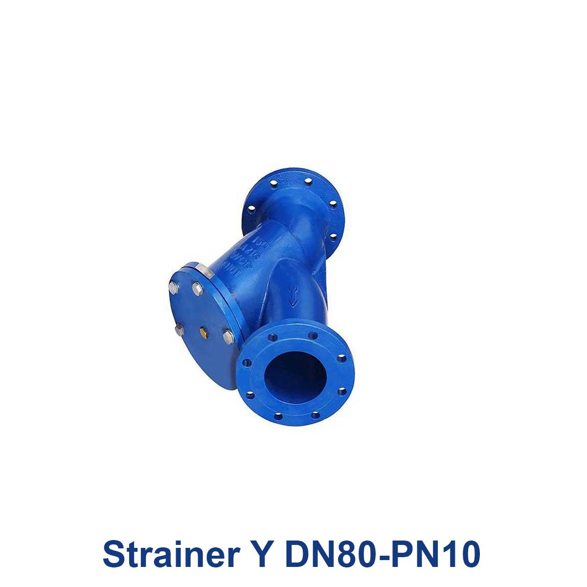 Strainer-Y-DN80-PN10