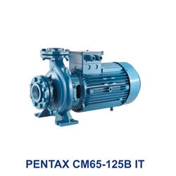 پمپ سه فاز پنتاکس مدل PENTAX CM65-125B IT