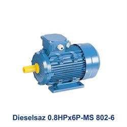 الکتروموتور سه فاز دیزل ساز Dieselsaz 0.8HPx6P-MS 802-6