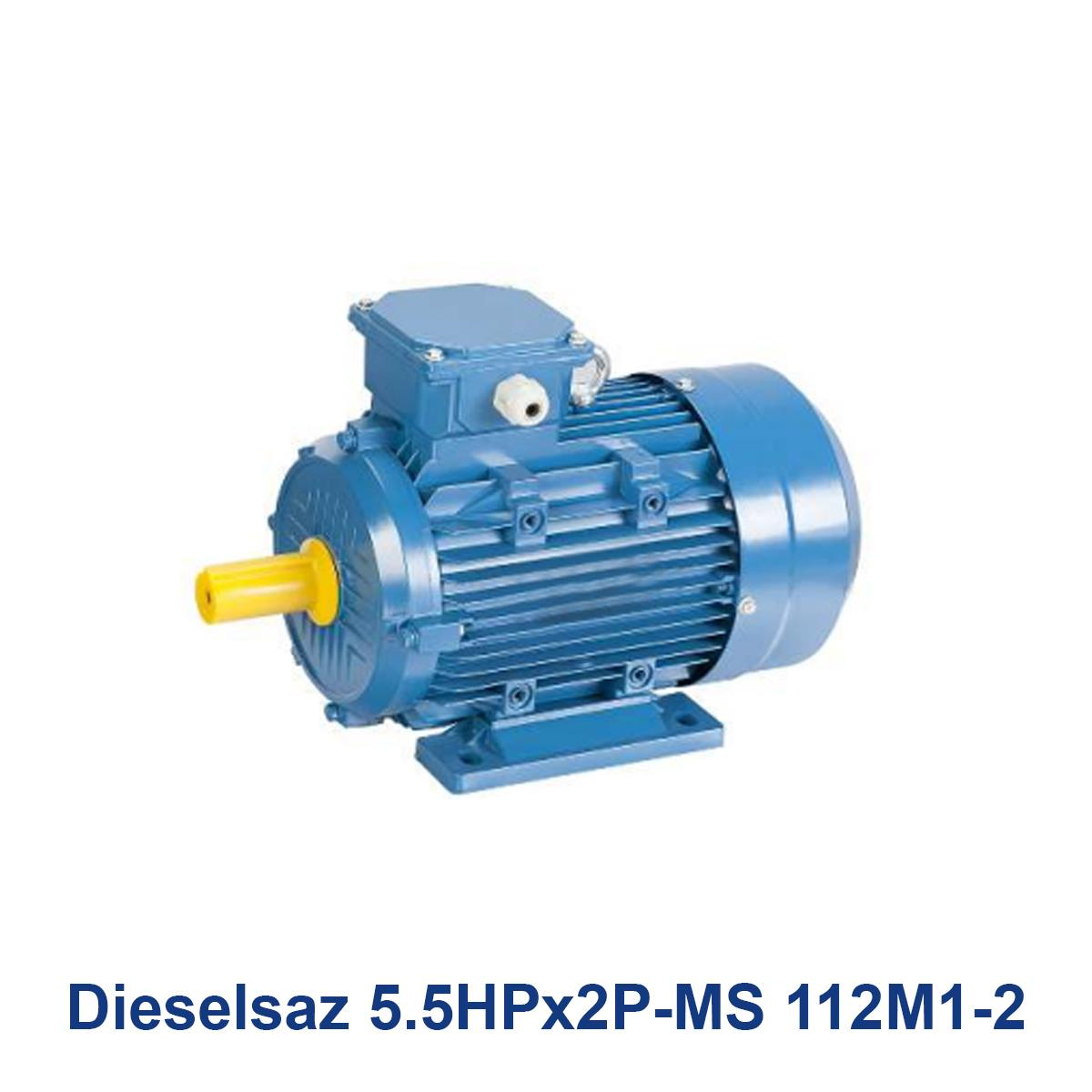 Dieselsaz-5.5HPx2P-MS-112M1-2