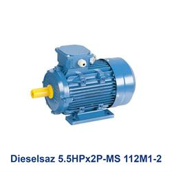 الکتروموتور سه فاز دیزل ساز Dieselsaz 5.5HPx2P-MS 112M1-2