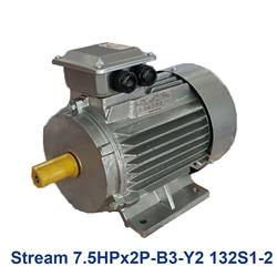 الکتروموتور استریم سه فاز Stream 7.5HPx2P-B3-Y2 132S1-2