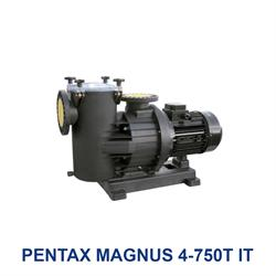 الکتروپمپ استخری سه فاز پنتاکس مدل PENTAX MAGNUS 4-750T IT