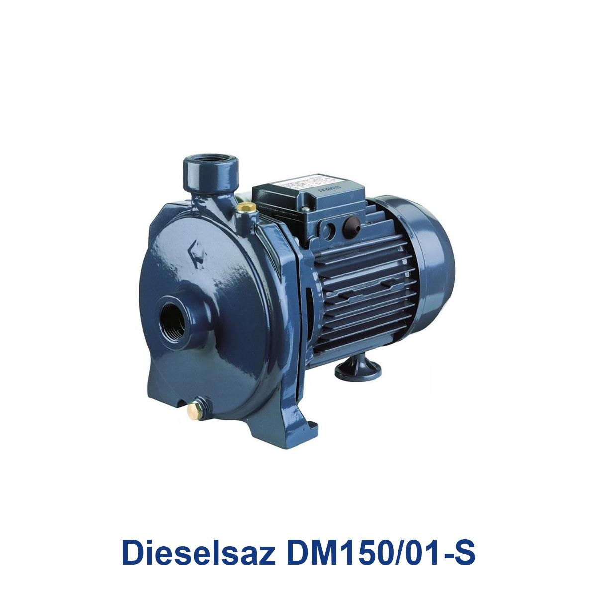 Dieselsaz-DM150-01-S