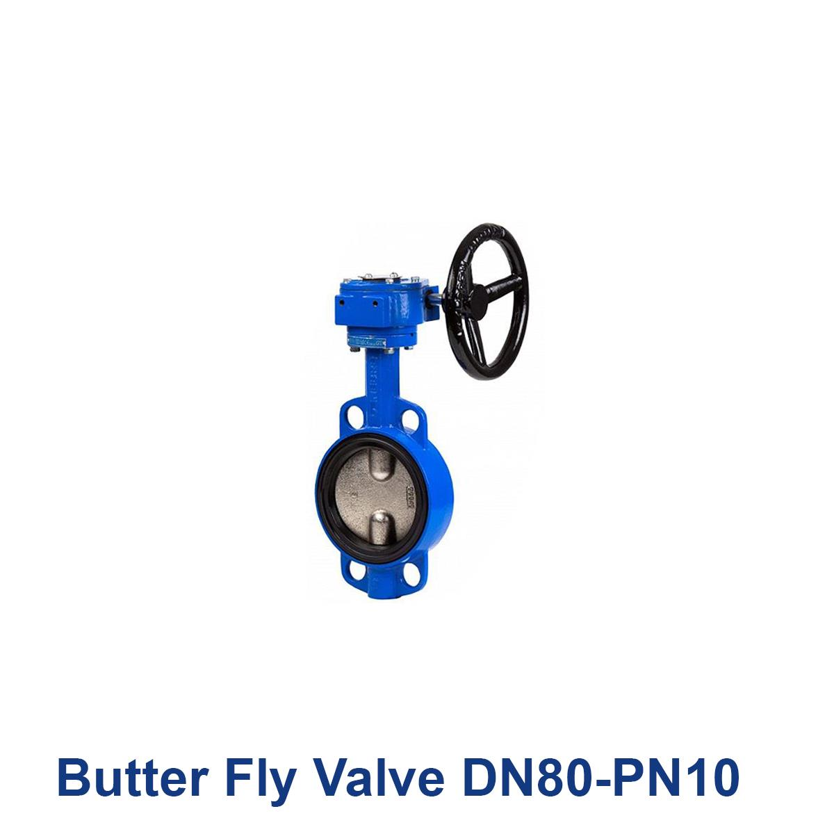 Butter-Fly-Valve-DN80-PN10