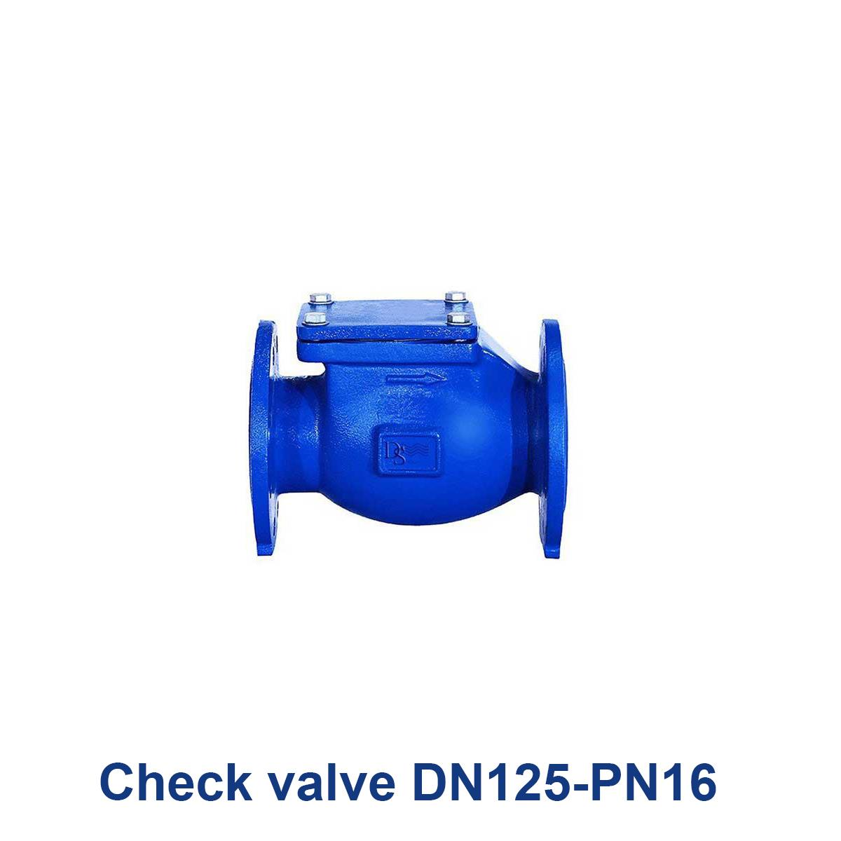 Check-valve-DN125-PN16