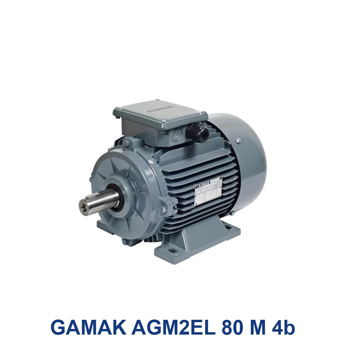 GAMAK-AGM2EL-80-M-4b