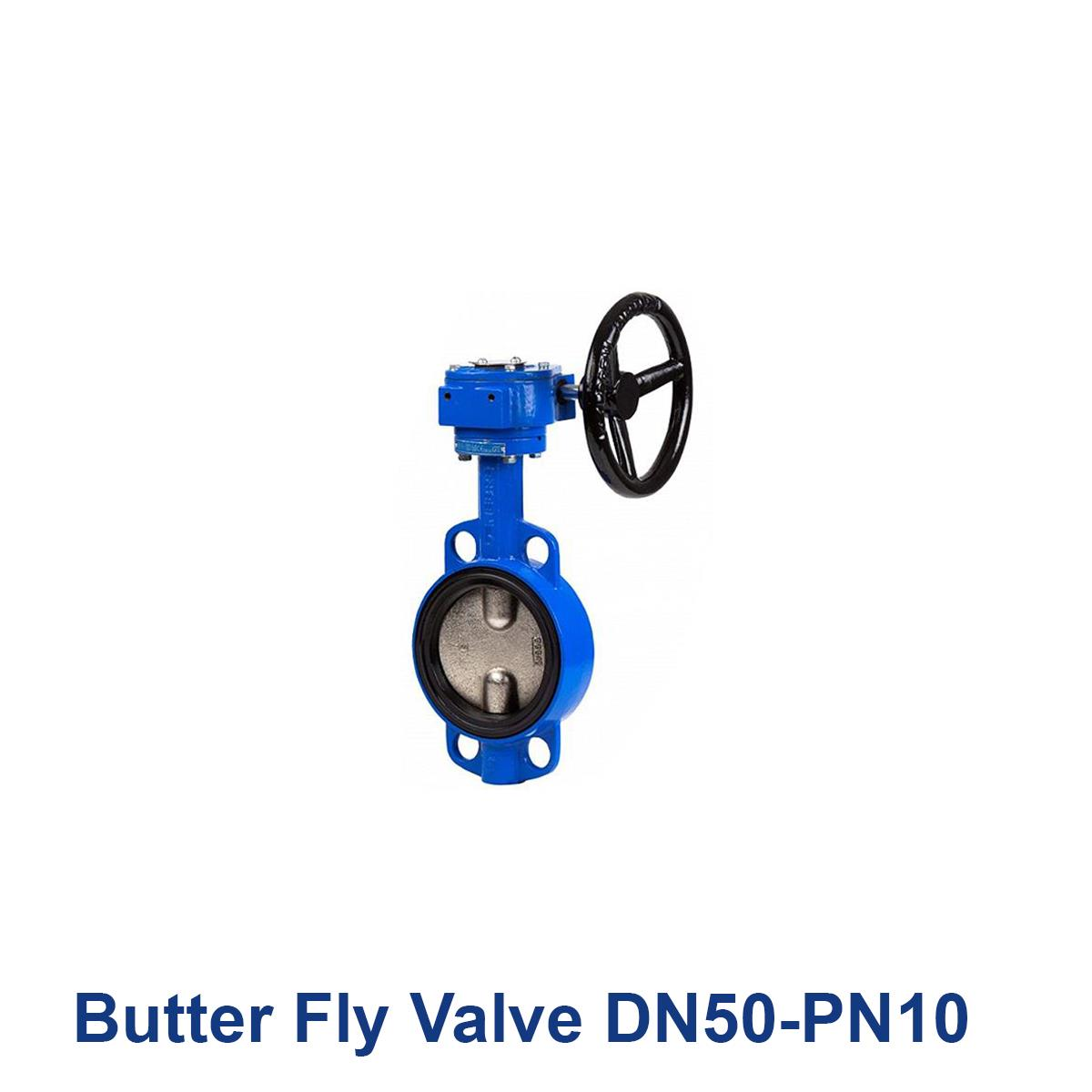 Butter-Fly-Valve-DN50-PN10