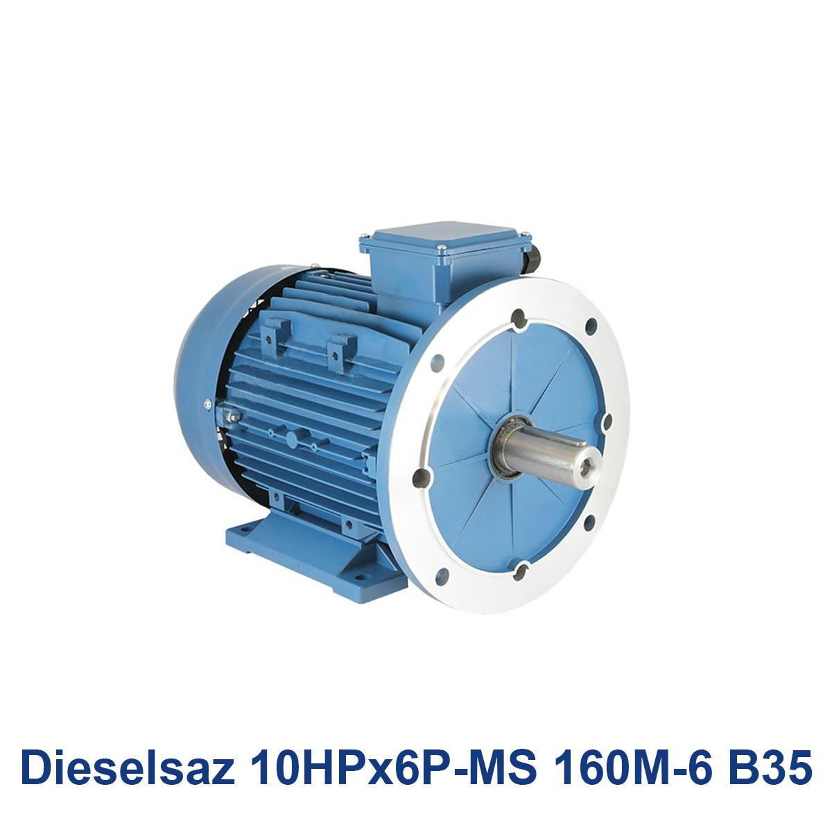 Dieselsaz-10HPx6P-MS-160M-6-B35