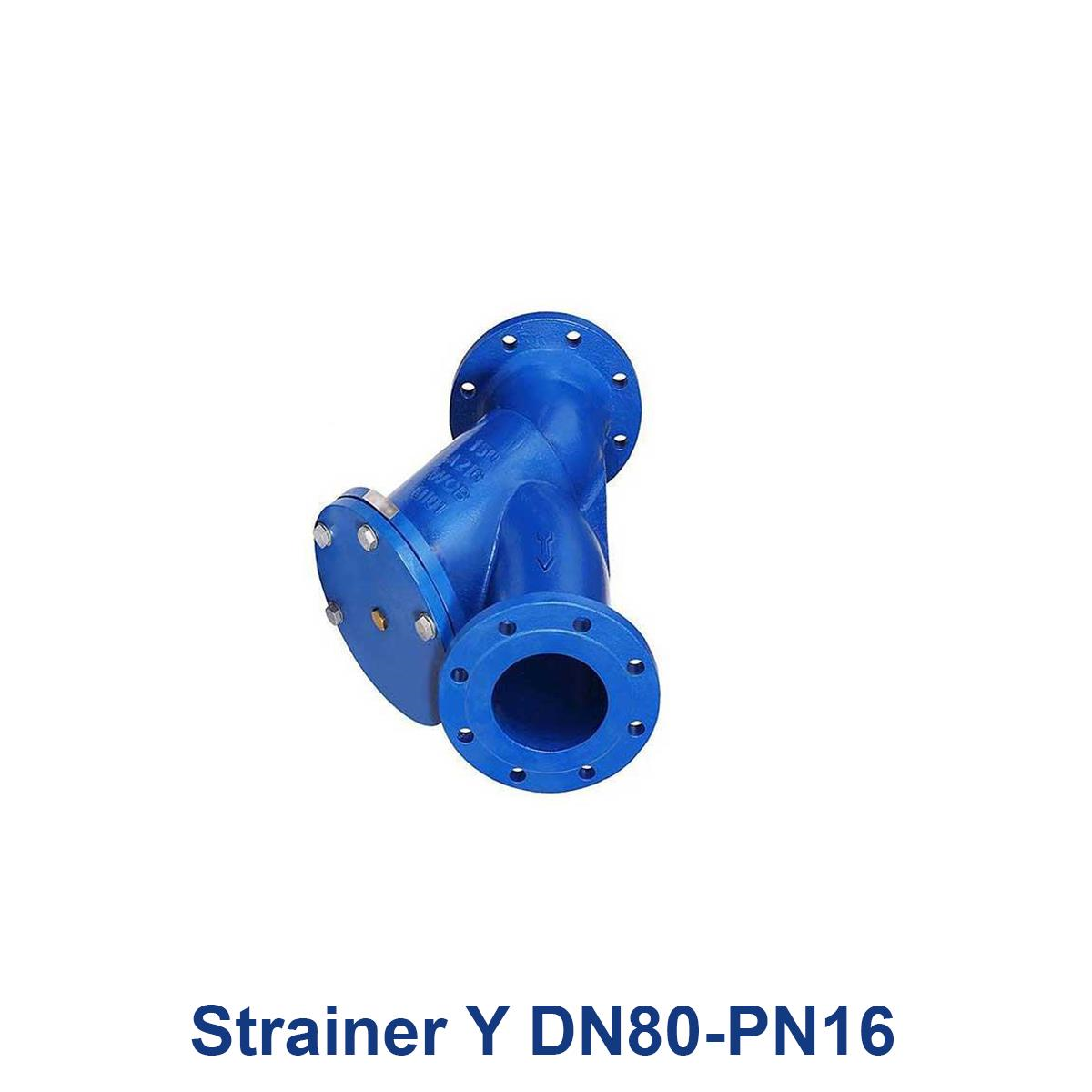 Strainer-Y-DN80-PN16