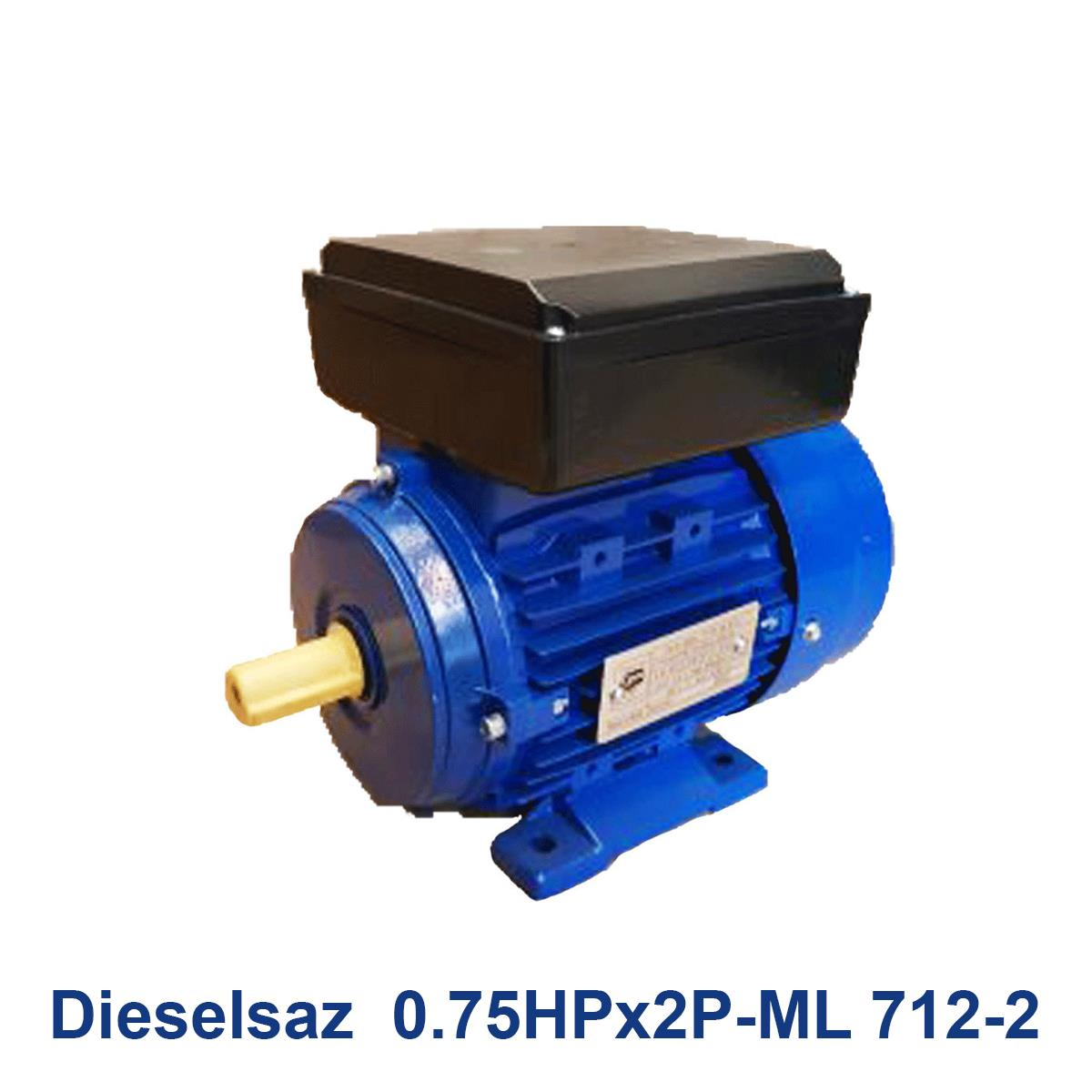 Dieselsaz--0.75HPx2P-ML-712-2