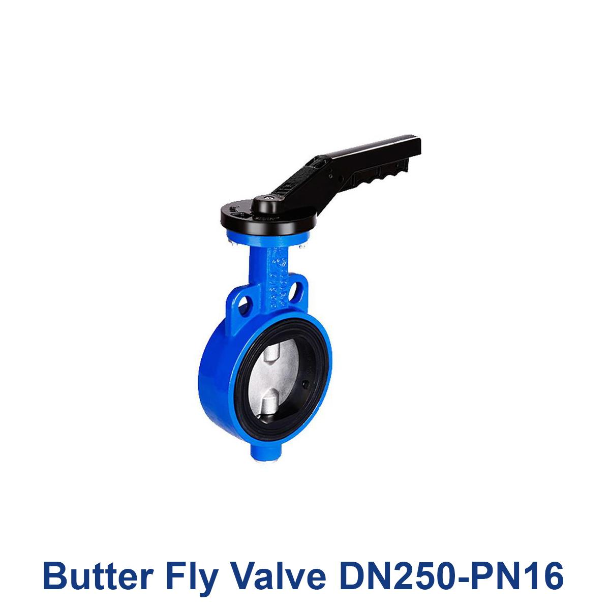 Butter-Fly-Valve-DN250-PN16